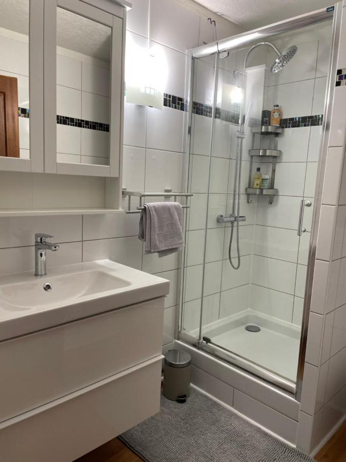 Appartement La Petite Venise กอลมาร์ ภายนอก รูปภาพ